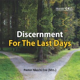 Discernment For The Last Days (Part 27)